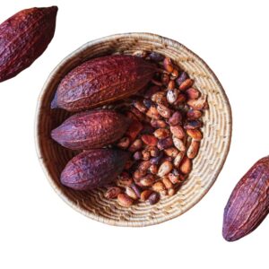 Semilla de Cacao